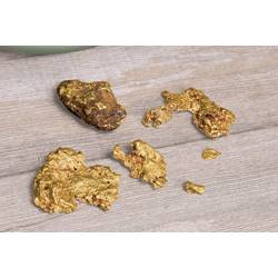 Garrett Gold Pan Kit Deluxe 13274 sada pro hledače zlata Vhodný pro značku (detektor kovu) Garrett
