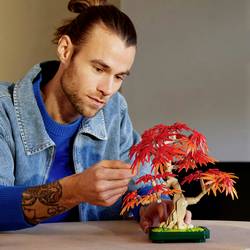 LEGO® Botanicals™ 10348 Japanischer Roter Ahorn – Bonsai-Baum