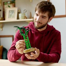 10344 LEGO® Botanicals™ Bambusová