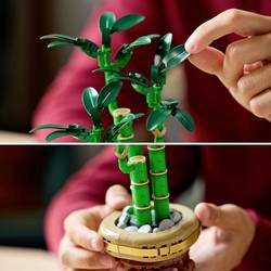 10344 LEGO® Botanicals™ Bambusová
