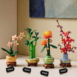 10344 LEGO® Botanicals™ Bambusová