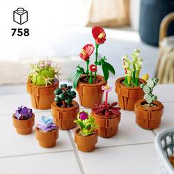 10329 LEGO® Botanicals™ Mini rostliny