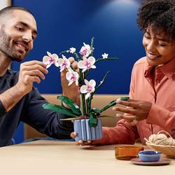 10311 LEGO® Botanicals™ Orchidee