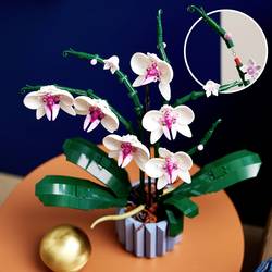 10311 LEGO® Botanicals™ Orchidee