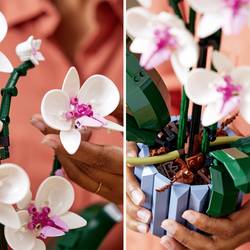 10311 LEGO® Botanicals™ Orchidee