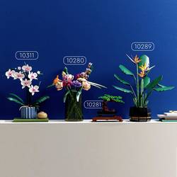10311 LEGO® Botanicals™ Orchidee