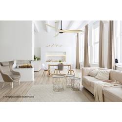 CasaFan ECO AIRSCREW 152 MS-NT stropní ventilátor 28 W (Ø x v) 1520 mm x 275 mm černá (matná) s dálkovým ovládáním, vhodný i pro zimní provoz