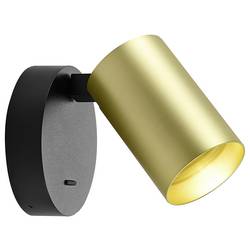 Deko Light Can 931062 Pouzdro; skleněný štítek mosaz