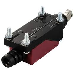 TRU COMPONENTS TC-12835328 TC-LTZ-8122 koncový spínač 250 V/AC 5 A kladka bez aretace IP65 1 ks