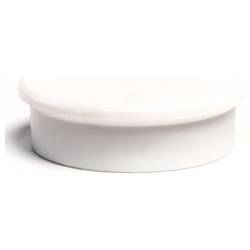 magnetoplan magnet Basic Serie (Ø) 38 mm kulatý bílá 10 ks 1863800