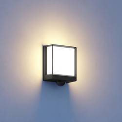 Steinel L 40 SC ANT 085247 venkovní nástěnné LED osvětlení s PIR detektorem LED pevně vestavěné LED 12.9 W antracitová