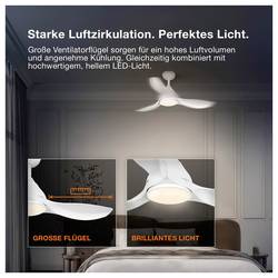 OSRAM HOMELIGHTING Ceiling Fan Nordes 1065mm 38W CCT RGB stropní ventilátor 38 W (Ø) 1065 mm s osvětlením, s dálkovým ovládáním, stmívatelný, s časovačem