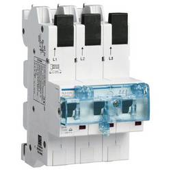 Hager HTS320E HTS320E ochranný spínač pro hlavní kabel 20 A 400 V
