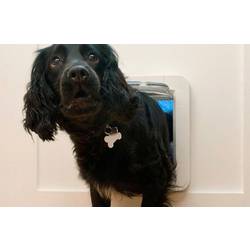 SureFlap Mikrochip Pet door Klapka do dveří pro domácí mazlíčky bílá 1 ks