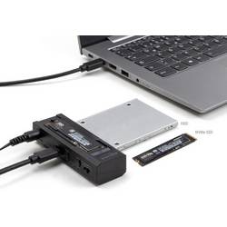 Delock 64252 USB-C™ (USB 3.2 Gen 2) M.2 PCIe NVMe dokovací stanice pro pevný disk 2.5 palec s funkcí klonování