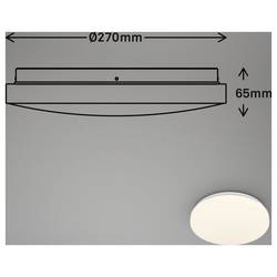 Briloner 3827016 3827016 stropní svítidlo s PIR senzorem LED LED Energetická třída (EEK2021): F (A - G) 12 W bílá