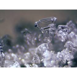 Bresser Optik 5803600 Erudit ICD stereomikroskop binokulární 40 x dopadající světlo, procházející světlo