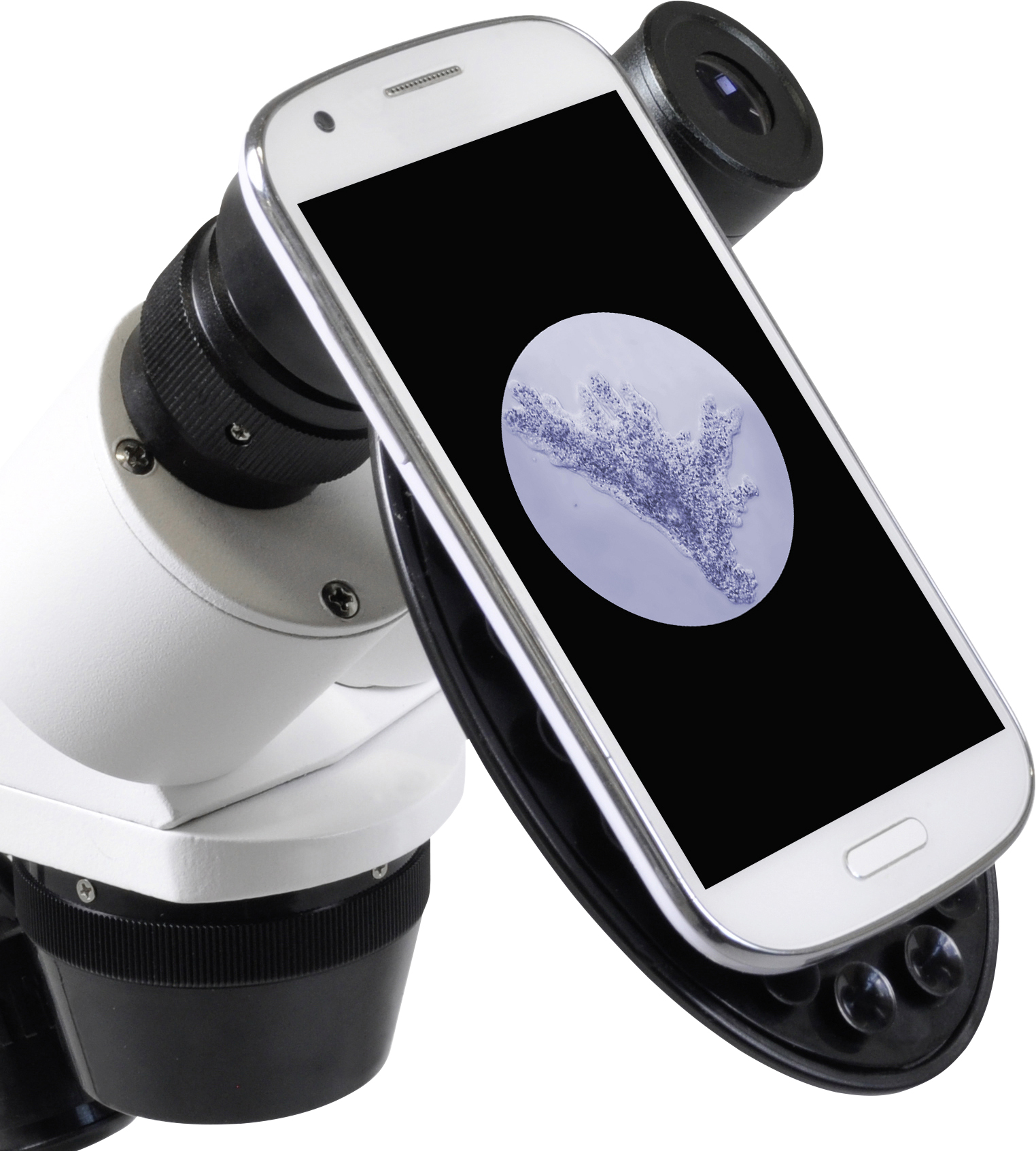 Bresser Optik 5803600 Erudit ICD stereomikroskop binokulární 40 x dopadající světlo, procházející světlo