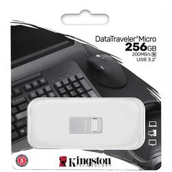 Kingston DataTraveler Micro USB flash disk Retail 256 GB stříbrná DTMC3G2/256GB USB 3.2 (Gen 1x1)
