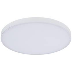 Paulmann Velora 79890 LED stropní svítidlo teplá bílá bílá