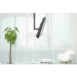 Neomounts FPMA-C060BLACK TV stropní držák 25,4 cm (10) - 101,6 cm (40) naklápěcí, nakláněcí, nastavitelná výška