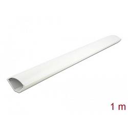 Delock 20715 rohový kanál vnitřní roh (d x š) 1 m x 56 mm 1 ks bílá