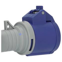 Brennenstuhl 1132910125 Adaptérový CEE kabel, 230 V, 1 ks