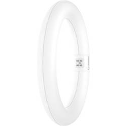 LEDVANCE LED trubice Energetická třída (EEK2021): E (A - G) G10q kulatý tvar KVG 11 W neutrální bílá (Ø x d) 212.00 mm x 212.00 mm 1 ks