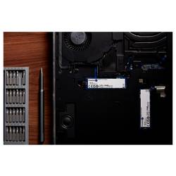 Kingston NV3 1 TB interní SSD PCIe 4.0 x4 SNV3S/1000G