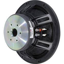 Visaton PAW 25 - 8 Ohm 10 palec 25 cm Basový 300 W 8 Ω