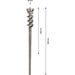 Bosch Accessories 1618596459 1618596459 tvrdý kov prorážecí vrtáky 65 mm Celková délka 600 mm SDS max 1 ks