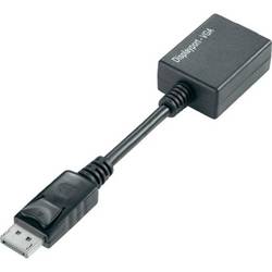 TECHly IADAP-DSP-250 DisplayPort / VGA adaptér [1x zástrčka DisplayPort - 1x VGA zásuvka] černá 0 mm