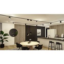 Paulmann Alejandro svítidla do lištových systémů (230 V) URail LED 10 W LED černá (matná)