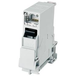 Telegärtner 100007435 100007435 STX konektor na DIN lištu RJ45 šedá