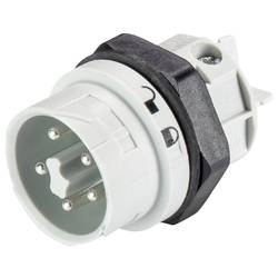 Wieland Electric 46.052.5053.0 Přístrojová přípojka