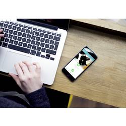 SureFlap Connect Klapka do dveří pro domácí mazlíčky bílá 1 ks