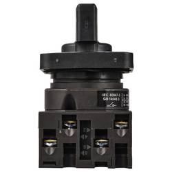 TRU COMPONENTS TC-LW40-20 C04/2A48I silový vypínač 20 A 690 V 1 x 45 ° černá, šedá 1 ks