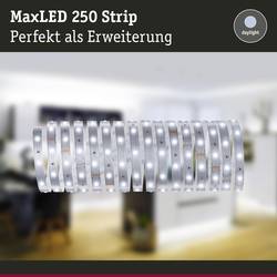 Paulmann MaxLED Stripe Daylight 79859 LED pásek konektor 5 m denní bílá 1 ks