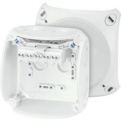 Hensel 62000047 rozbočovací krabice (d x š x v) 104 x 104 x 70 mm šedá IP66 / IP67 5 ks