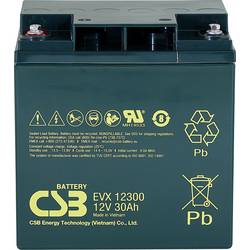 CSB Battery EVX 12300 EVX12300 olověný akumulátor 12 V 30 Ah olověný se skelným rounem (š x v x h) 166 x 175 x 125 mm šroubované M5 odolné proti více cyklům,