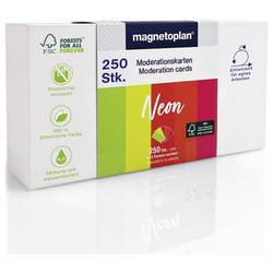 magnetoplan Neon moderační karta barevně tříděná , neonová obdélníkový 200 mm x 100 mm 250 ks