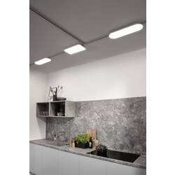 Paulmann URail Panel Campo LED závěsný lustr URail 17 W LED bílá