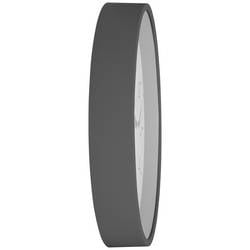 TFA Dostmann 60.3550.10 DCF nástěnné hodiny 24.5 cm x 42 mm , šedá