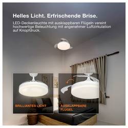 OSRAM HOMELIGHTING Ceiling Fan Cierzo 1220mm 60W CCT RGB stropní ventilátor 60 W (Ø) 1220 mm s osvětlením, s dálkovým ovládáním, stmívatelný, s časovačem