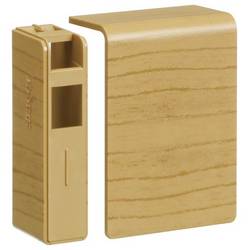 Hager SL200556D2 zakončení koncová část (d x š x v) 55 x 20 x 55 mm 1 ks hnědá