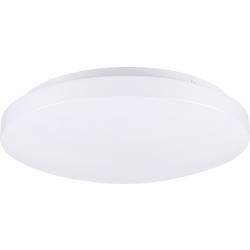 Paulmann 71059 stropní svítidlo E27 bílá