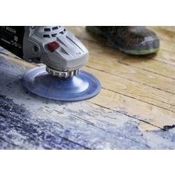 Bosch Accessories 2608901749 brusný kotouč 1 ks