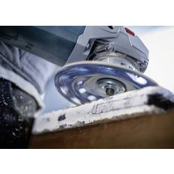 Bosch Accessories 2608901749 brusný kotouč 1 ks