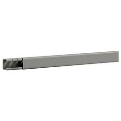 Hager BA61501507030O vodicí lišta (d x š x v) 2 m x 20 mm x 18 mm 2 m šedá