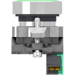 Schneider Electric XB4BA315 Tlačítko, Harmony XB4, kov, 22 mm, zelená, bez potisku, bez aretace, 1S, Push-In Tlačítko 1 ks